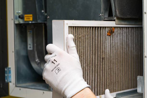Best Duct Cleaning Specialists  in Saint Johns University, MN