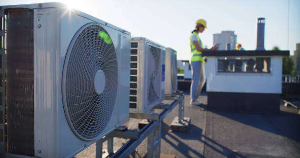 Best Air Duct Mold Removal  in Saint Johns University, MN